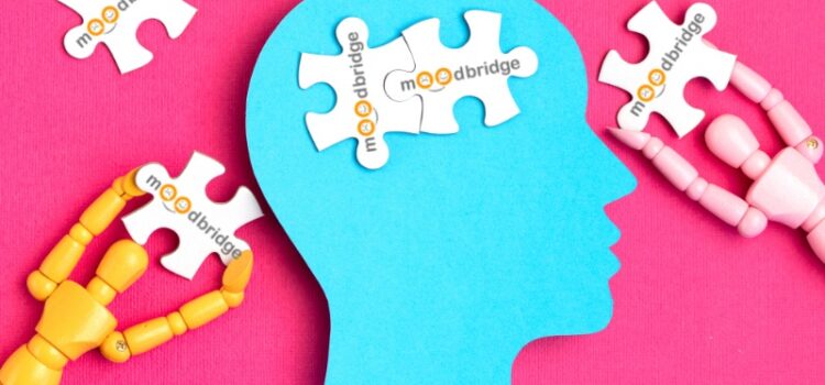 [COMING SOON] Mental Health Startup, MoodBridge, Aims To Deliver The Best Emotional Support On The Internet!