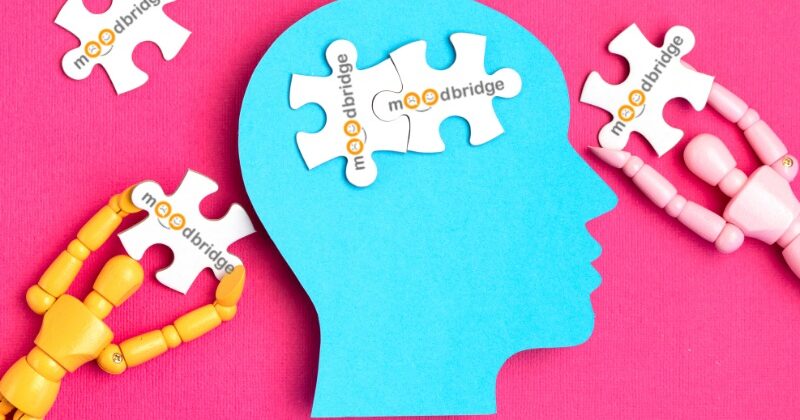 [COMING SOON] Mental Health Startup, MoodBridge, Aims To Deliver The Best Emotional Support On The Internet!