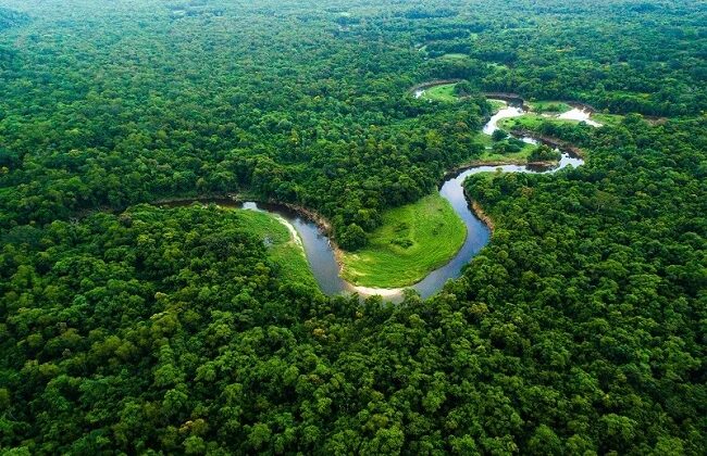 Grow Billion Trees: A Global Crusade Against Climate Change Led by Indian Army Veterans