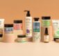 Ashwagandha or Actives? Why CITTA Says You Don’t Have to Choose.