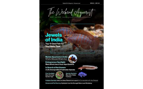 The Weekend Aquarist Releases Its 7th Issue — Available on Magzter and in Print Across India