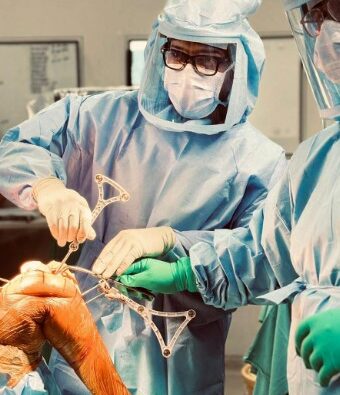 The Precision Revolution; Robotic Joint replacement an Article by Dr Dibya Singha