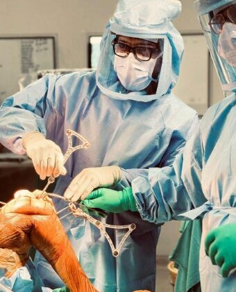 The Precision Revolution; Robotic Joint replacement an Article by Dr Dibya Singha