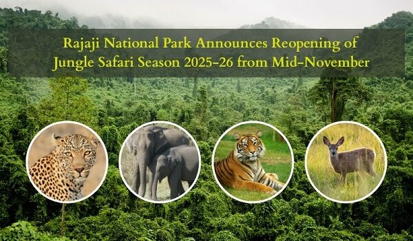 Rajaji National Park Announces Reopening of Jungle Safari Season from Mid-November