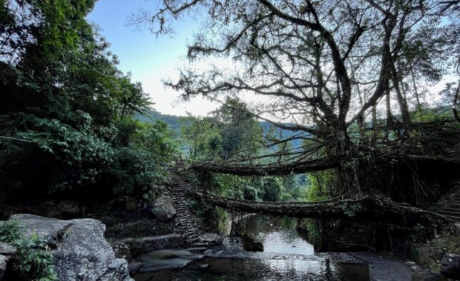 Muddie Trails Crosses 50,000 Travelers and Opens New Journeys into Tawang and Meghalaya