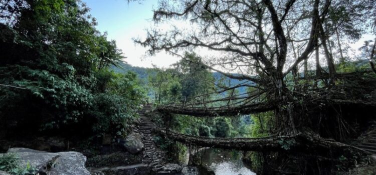 Muddie Trails Crosses 50,000 Travelers and Opens New Journeys into Tawang and Meghalaya