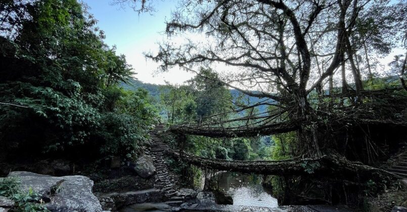 Muddie Trails Crosses 50,000 Travelers and Opens New Journeys into Tawang and Meghalaya