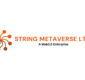 String Metaverse shareholders approve exclusive bonus for public investors; record date fixed as June 19, 2026